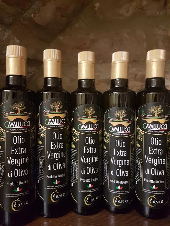 Hotel Ponte San Vittorino أسيسي المظهر الخارجي الصورة